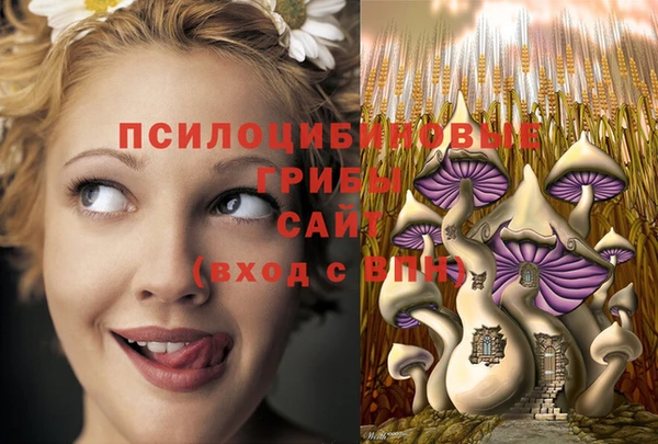 MESCALINE Белокуриха